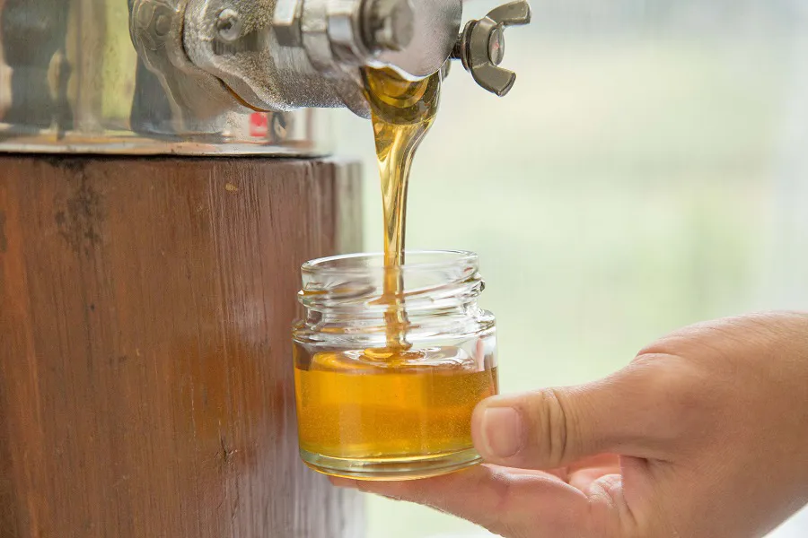 観光できる養蜂場・千葉「はちみつとミードのはちみつ工房」がリニューアル