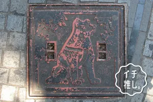 渋谷でハチ公に所縁のある“犬マンホール”巡り！鉄蓋愛好家・白浜公平のイチ推し。