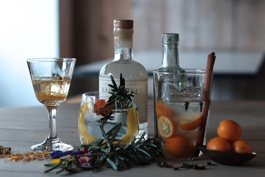 クラフトビールの次は「クラフトジン」が来る！？ブームを先取るクラフトジンが飲める店【都内3選】