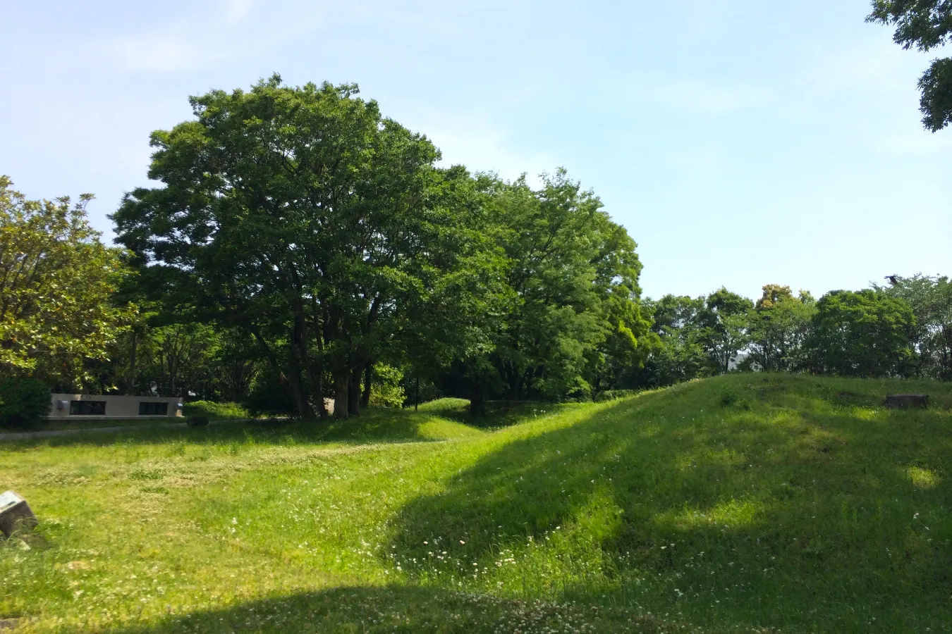 ▲桜土手古墳群。円墳がポコポコと並びます
