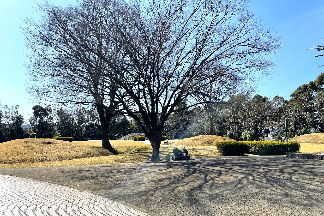 ▲冬の桜土手古墳公園