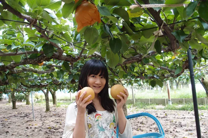 もぎとるのが好きすぎるあまり、一人で梨狩りに行ってきた