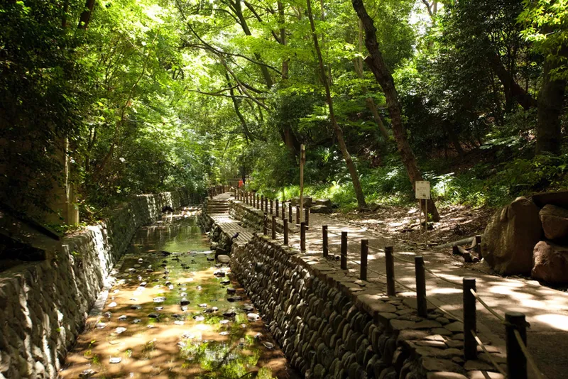 「東京にもこんなに自然が!?」癒し効果抜群♪都内の公園まとめ