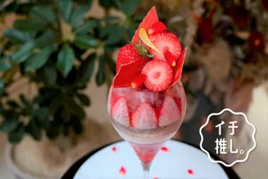 【宮原】パフェが美味しい「Kazu Bake（カズベイク）」スイーツコンシェルジュはなとものイチ推し。