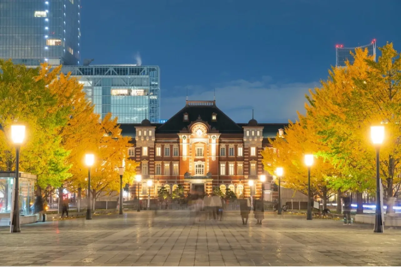 東京駅丸の内駅前広場（夜）