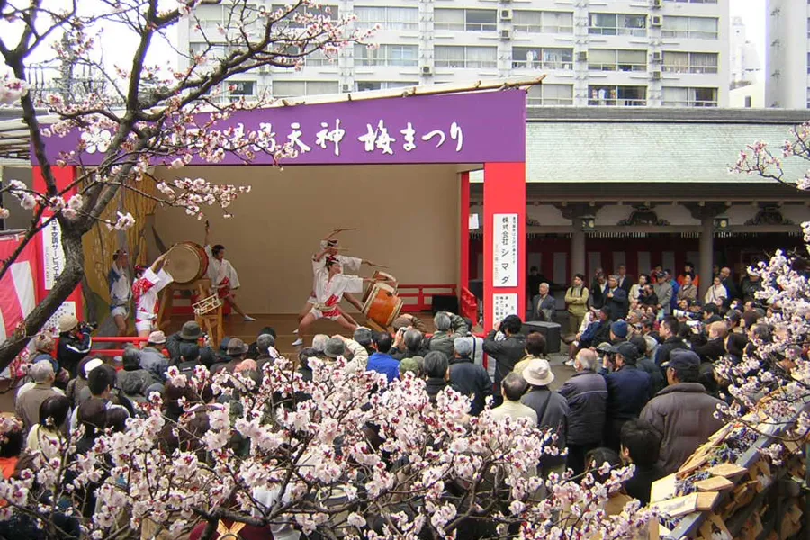 梅の花の見ごろはいつ?都内の梅まつり・梅の名所8選【2025】_2415985