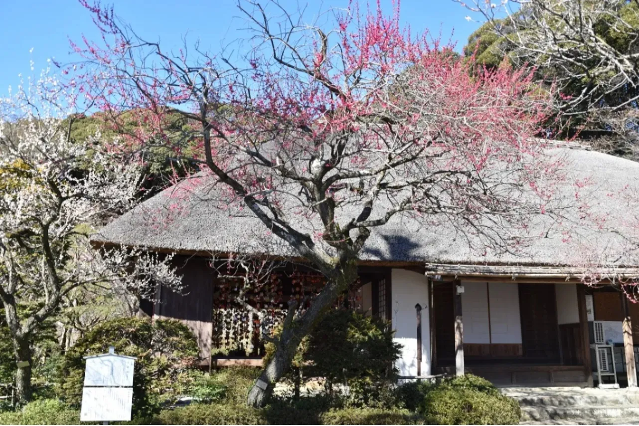 ▲松連庵