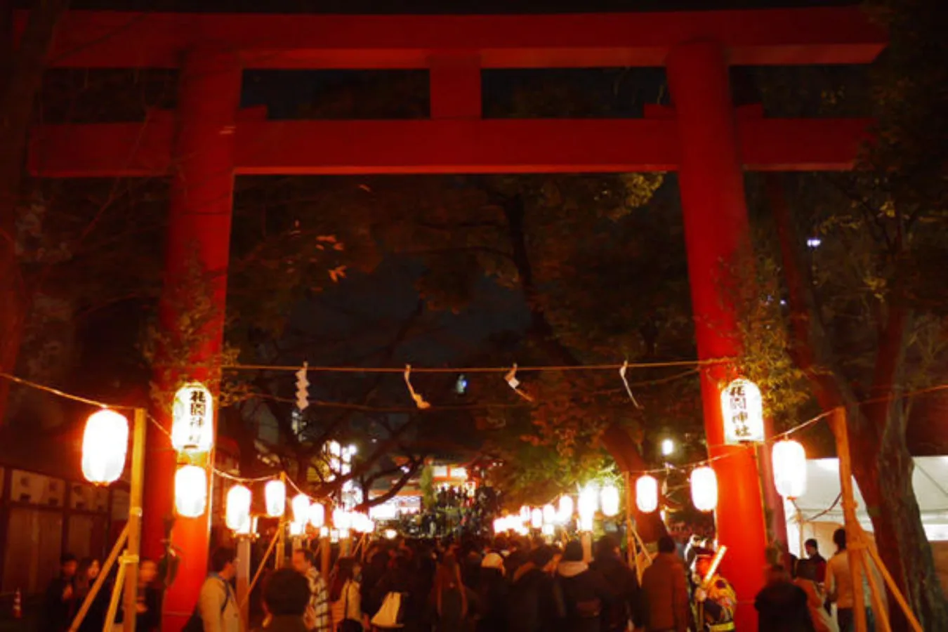 夜も初詣・参拝できる東京の神社仏閣6選【2026】_3187499