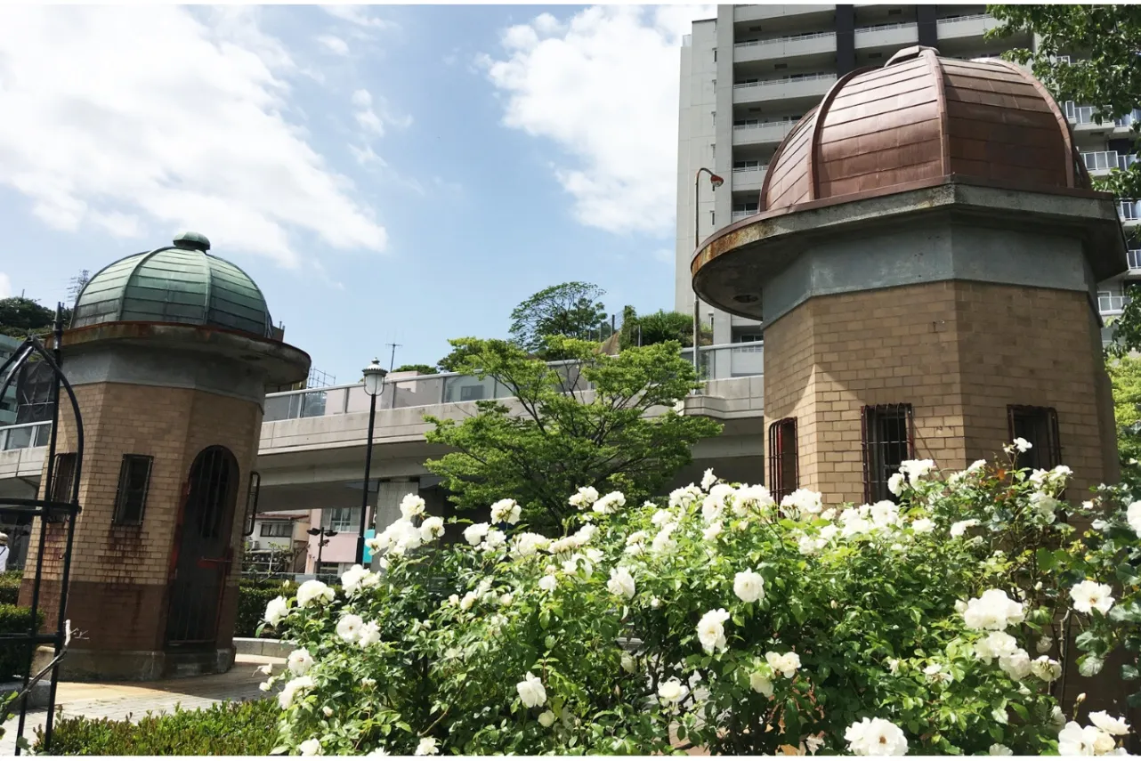 【2026】都内＆東京近郊「秋バラ」の名所11選！見ごろやイベント情報も_4028477