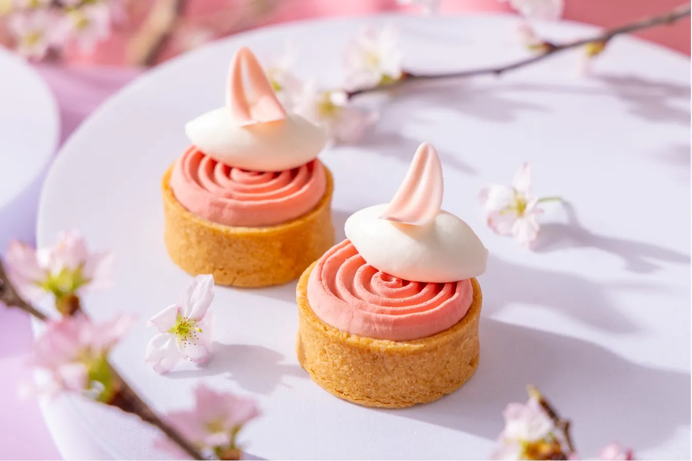 ▲「トンカ豆のタルト　桜クリーム」