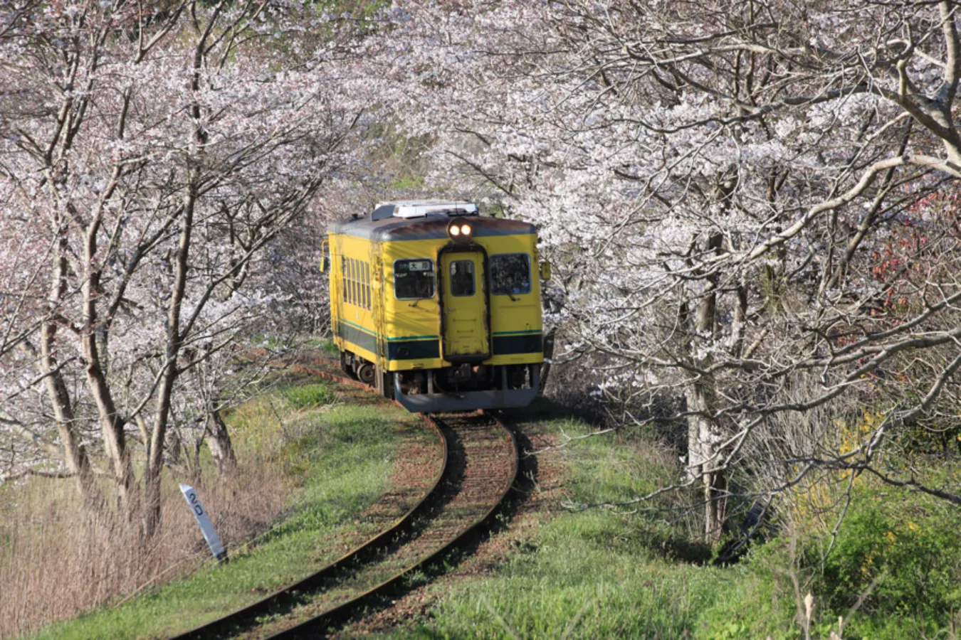 ▲東総元駅手前のカーブ