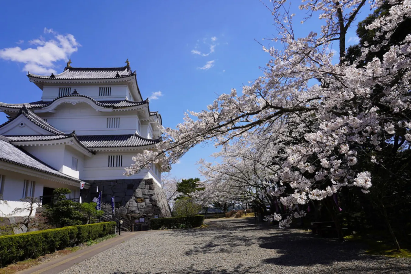 ▲大多喜城(千葉県立中央博物館大多喜城分館)