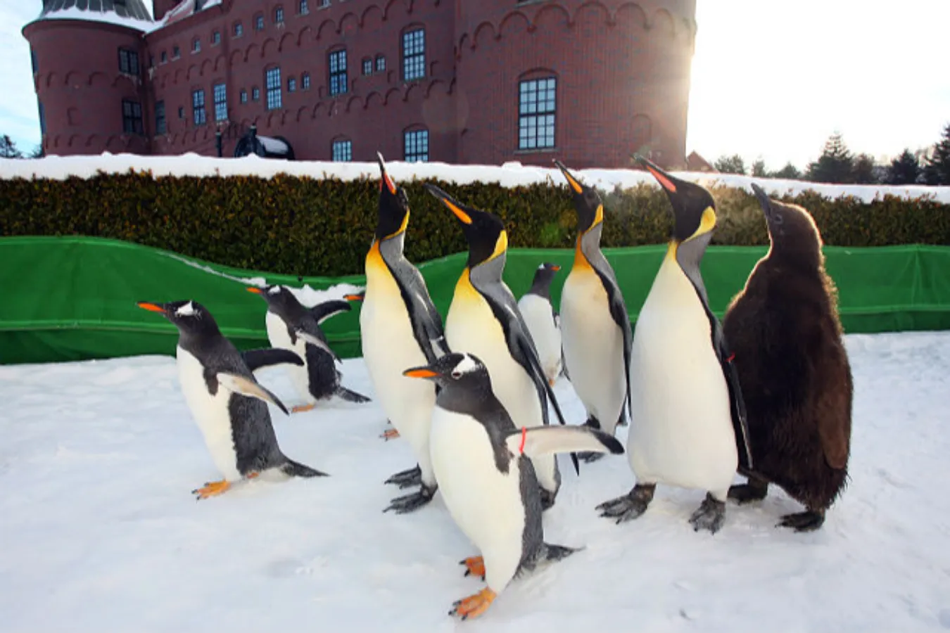 割引チケットも！個性が光る全国のオススメ「水族館・動物園」10選_2747947