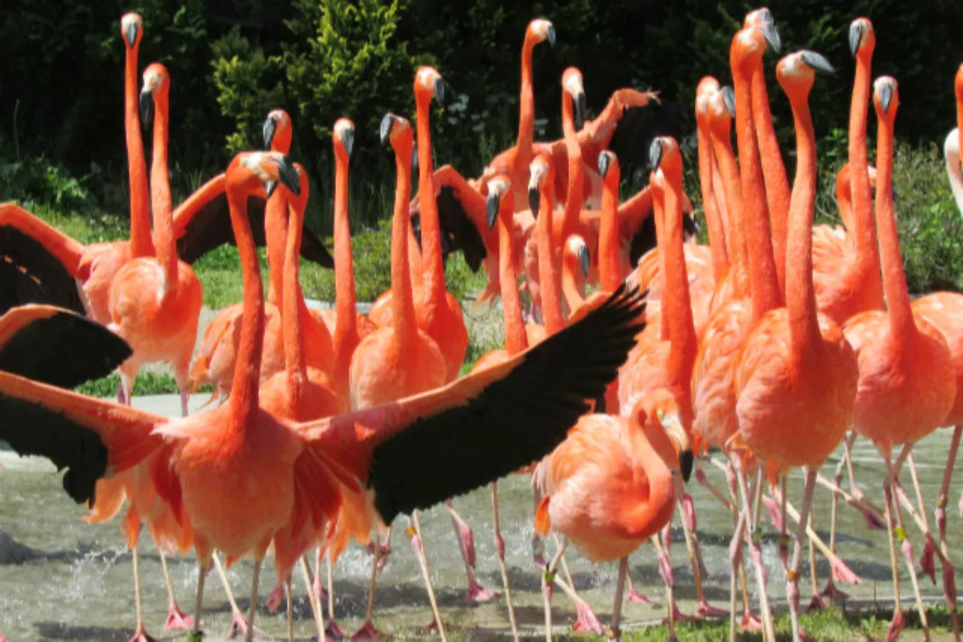 割引チケットも！個性が光る全国のオススメ「水族館・動物園」10選_2747950