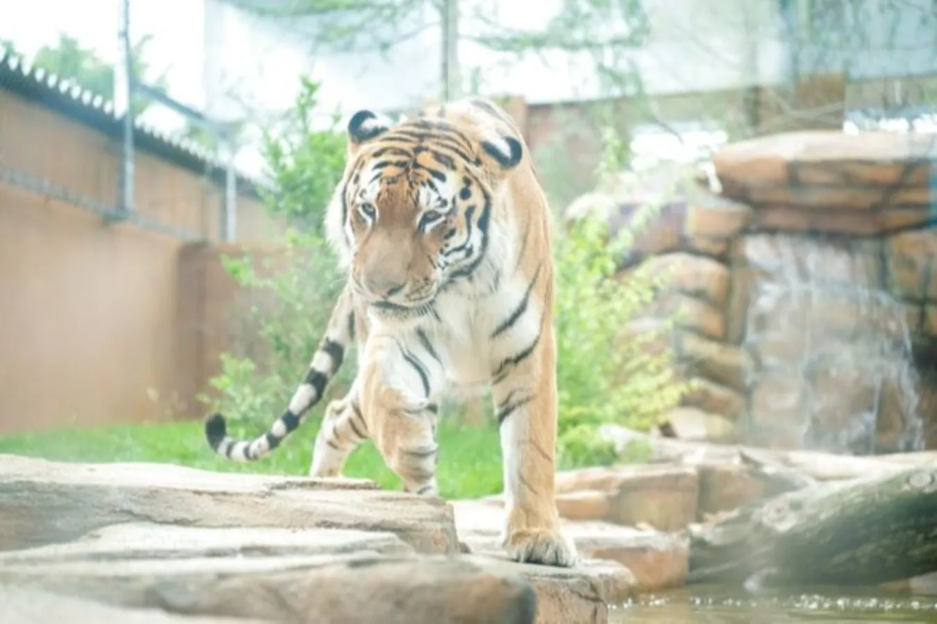 割引チケットも！個性が光る全国のオススメ「水族館・動物園」10選_2747953