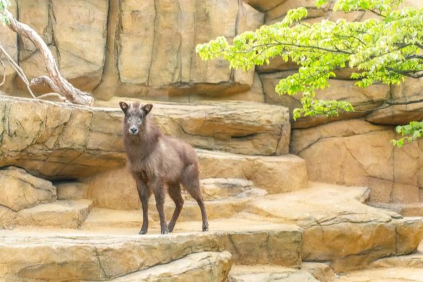 割引チケットも！個性が光る全国のオススメ「水族館・動物園」10選_2747954