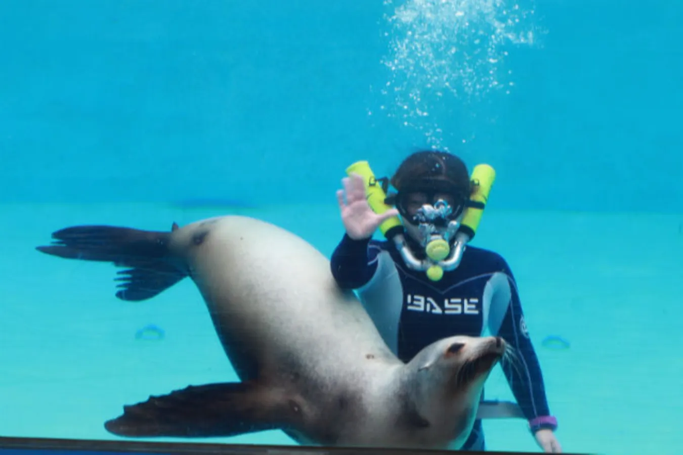 割引チケットも！個性が光る全国のオススメ「水族館・動物園」10選_2747957