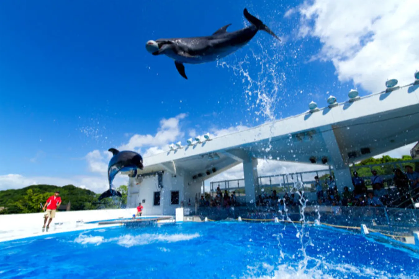 割引チケットも！個性が光る全国のオススメ「水族館・動物園」10選_2747961