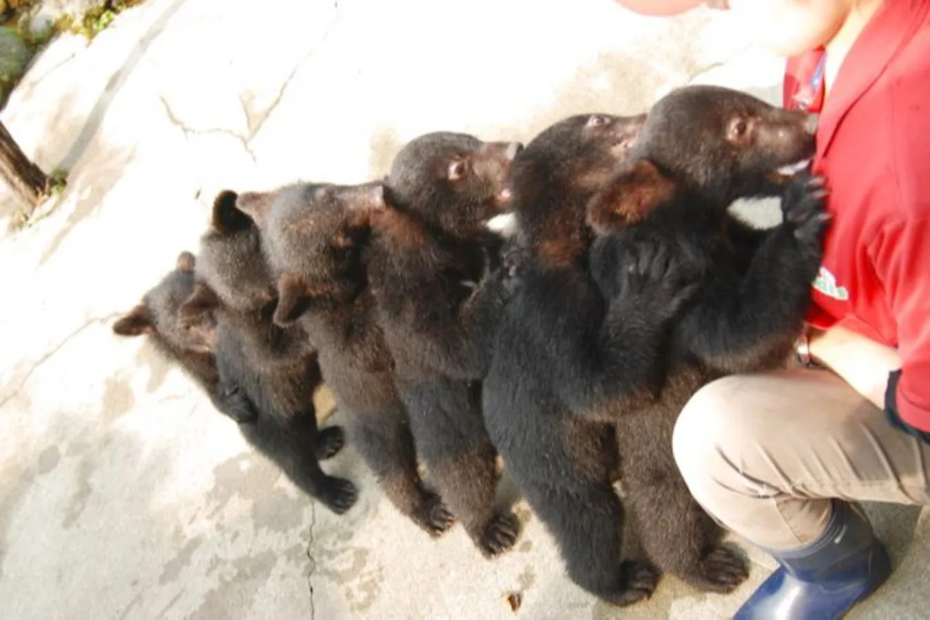 割引チケットも！個性が光る全国のオススメ「水族館・動物園」10選_2747962