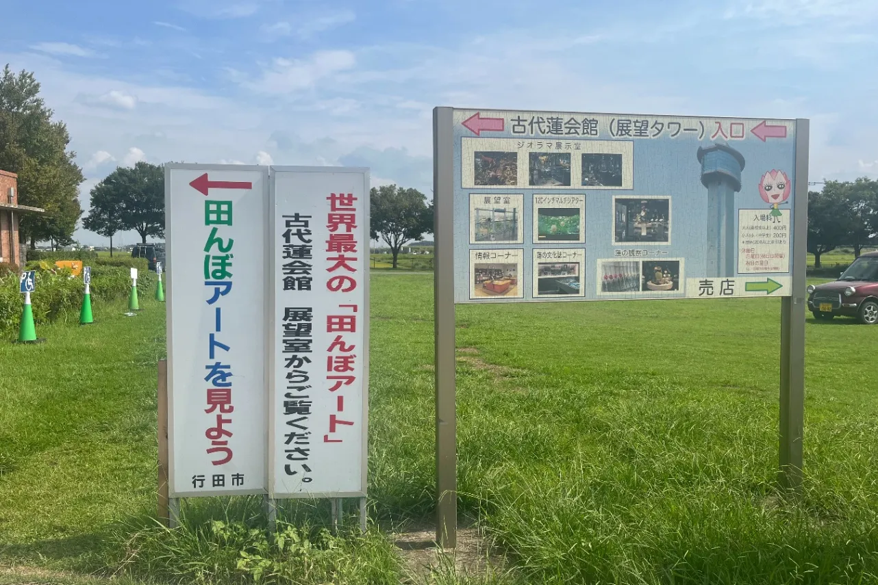 『翔んで埼玉』ロケ地!行田「古代蓮の里展望タワー」_1244380