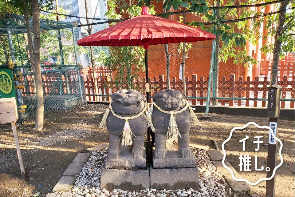 「恋愛運UPの狛犬さんなら！」浅草神社の夫婦狛犬さん