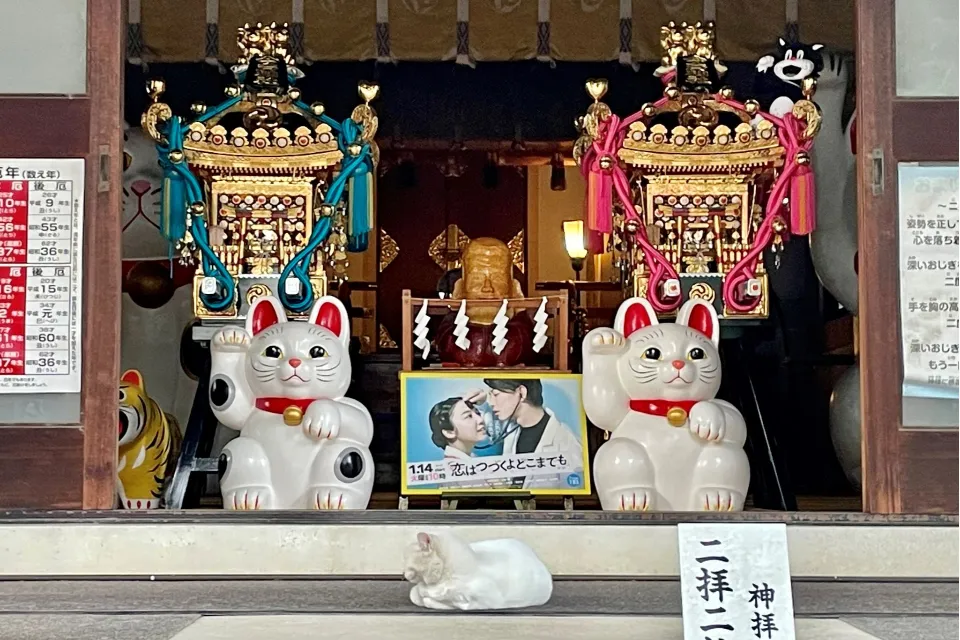 幸運の“白猫”がリアルにいる!?招き猫発祥の地・浅草「今戸神社」へ