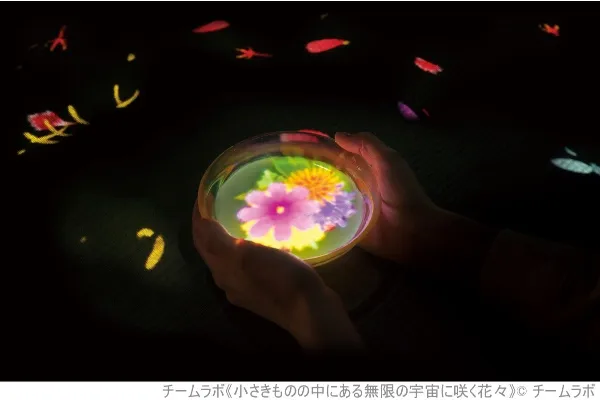 麻布台ヒルズ「チームラボボーダレス」に「EN TEA HOUSE - 幻花亭」誕生