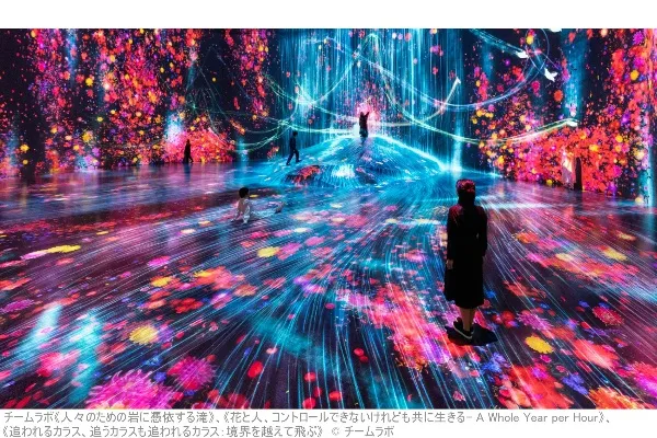 「チームラボボーダレス」潜入レポ！その全貌と注目アート作品をご紹介