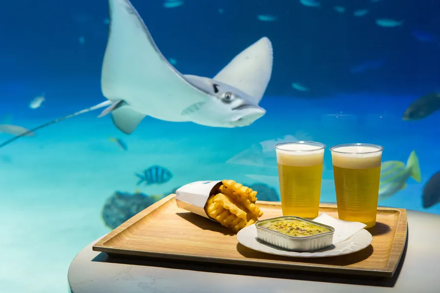 (PR)【期間限定】サンシャイン水族館で乾杯！生き物たちに癒されながらビールを楽しむ、初夏の最強デート