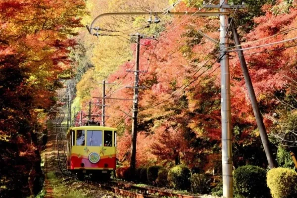 関東の紅葉スポットまとめ