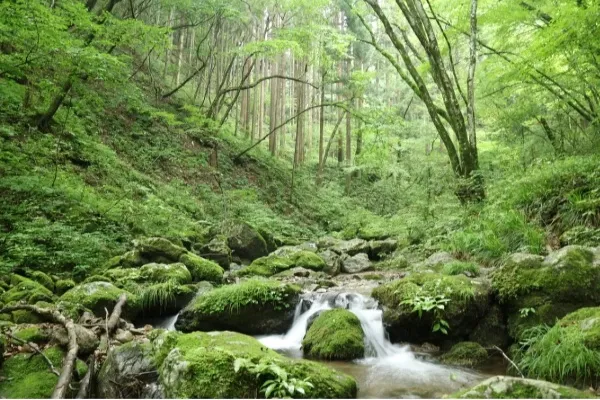 関東で気軽にハイキングを楽しめる低山6選【2026】