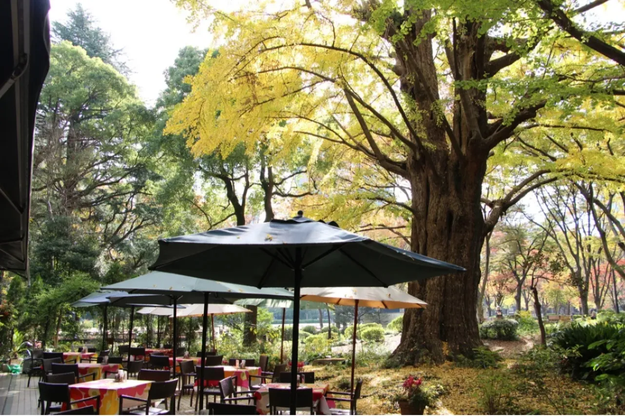 【東京】紅葉・黄葉が見える公園カフェ7選！ランチやスイーツも♪_3012597