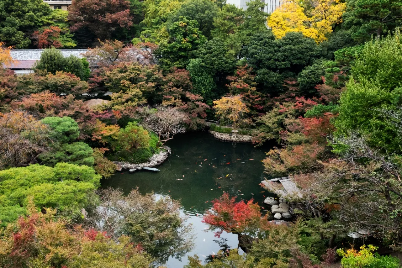 【東京】紅葉シーズンに行きたいカフェ10選！店内から紅葉が見えるカフェも｜2026_4154369