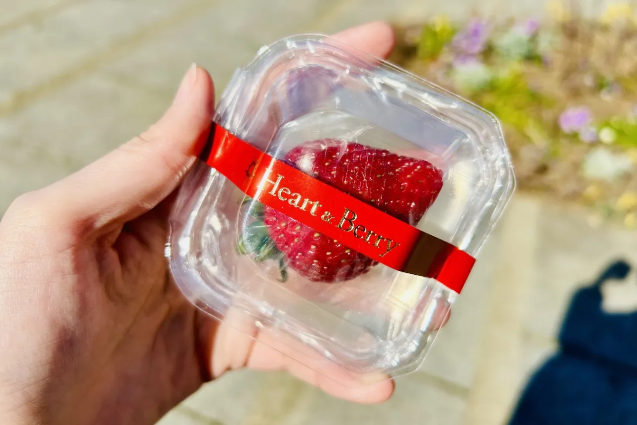 Yokohama Strawberry Festival 2025」が赤レンガ倉庫で開催中