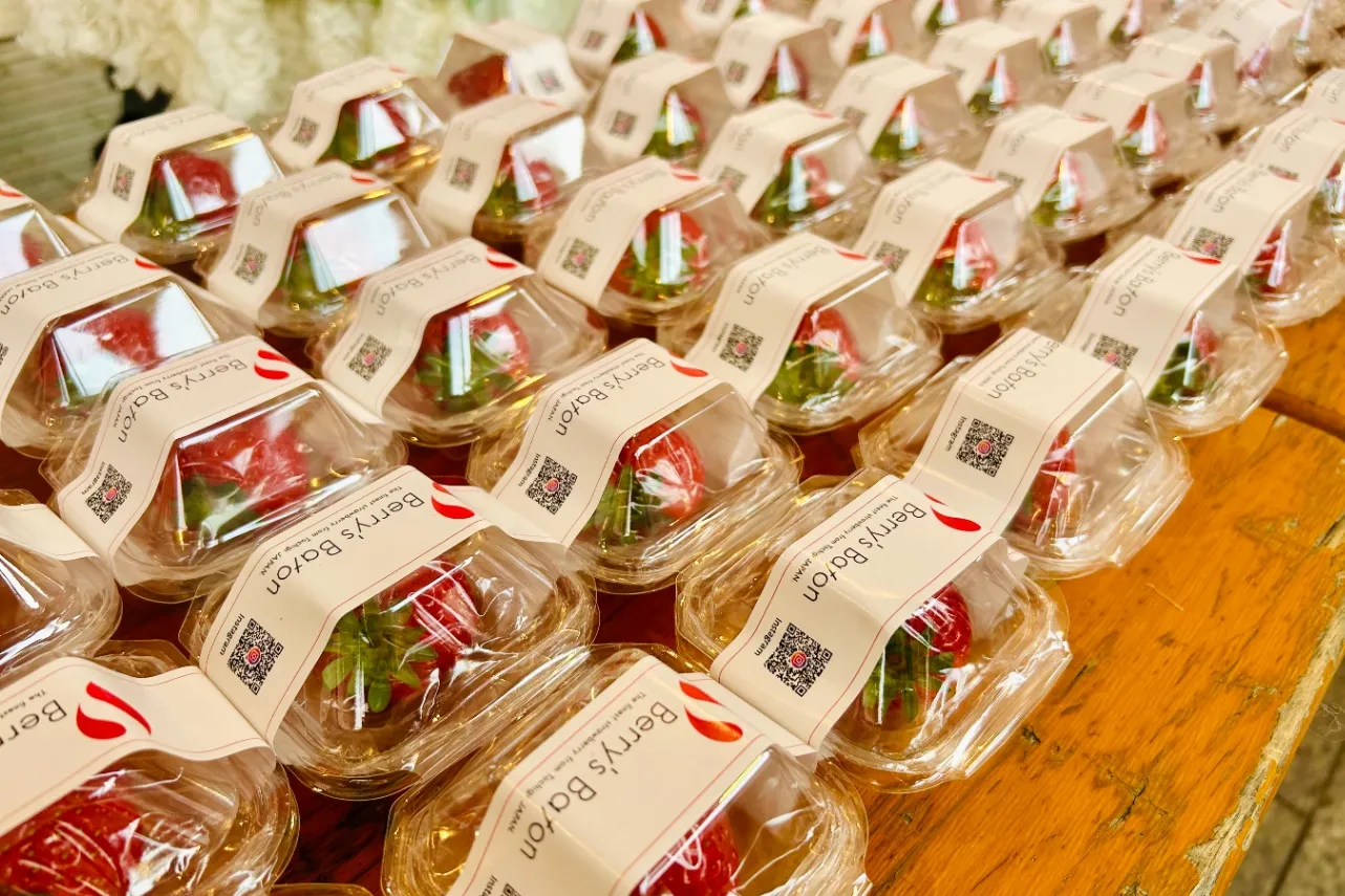 ▲いちごの無料配布の様子（撮影：レッツエンジョイ東京編集部）