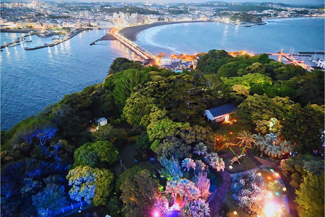 ライトアップ以外の魅力も！「江の島シーキャンドル」展望施設マニア・かねだひろのイチ推し。_1196154