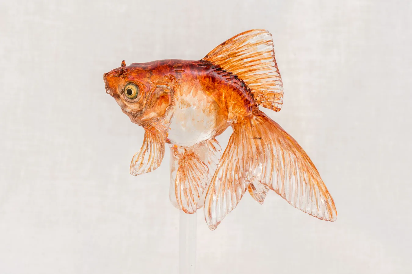 ▲飴細工「金魚」