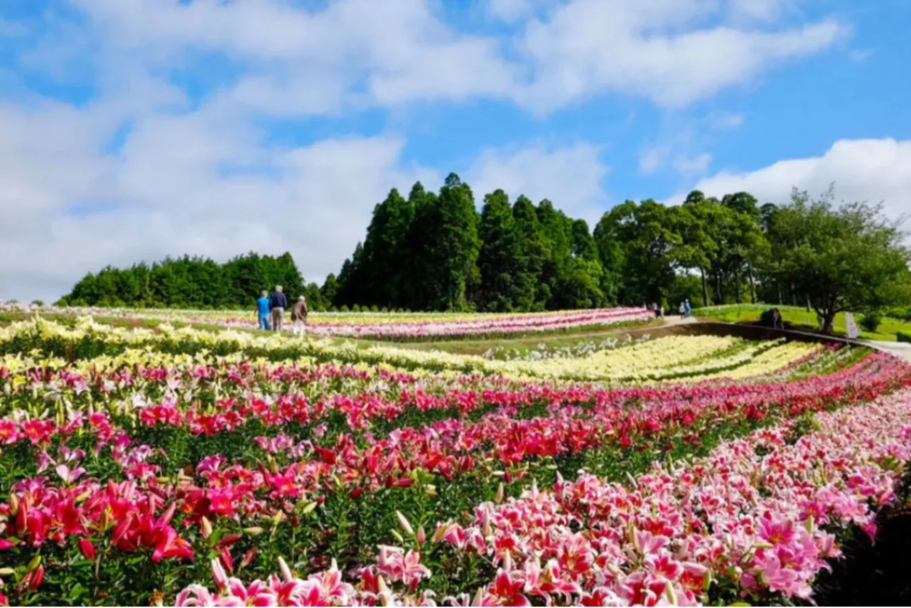 ▲東京ドイツ村