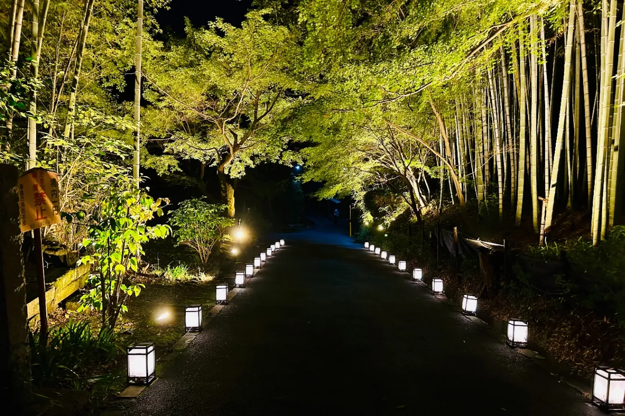 ▲虫塚までの山道