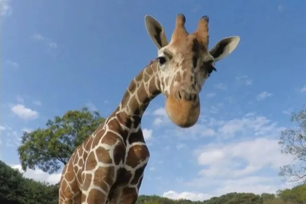 千葉で一人で遊ぶなら！オススメ「暇つぶし」スポット10選