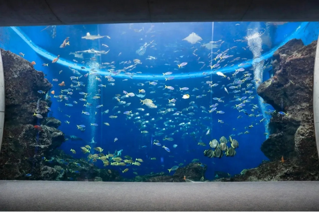 ▲トロピカルアイランド　無限の海