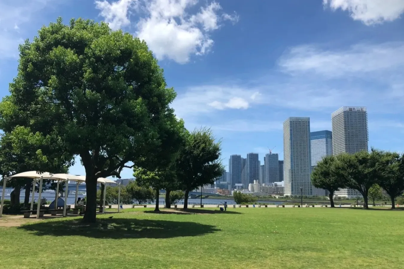 豊洲公園