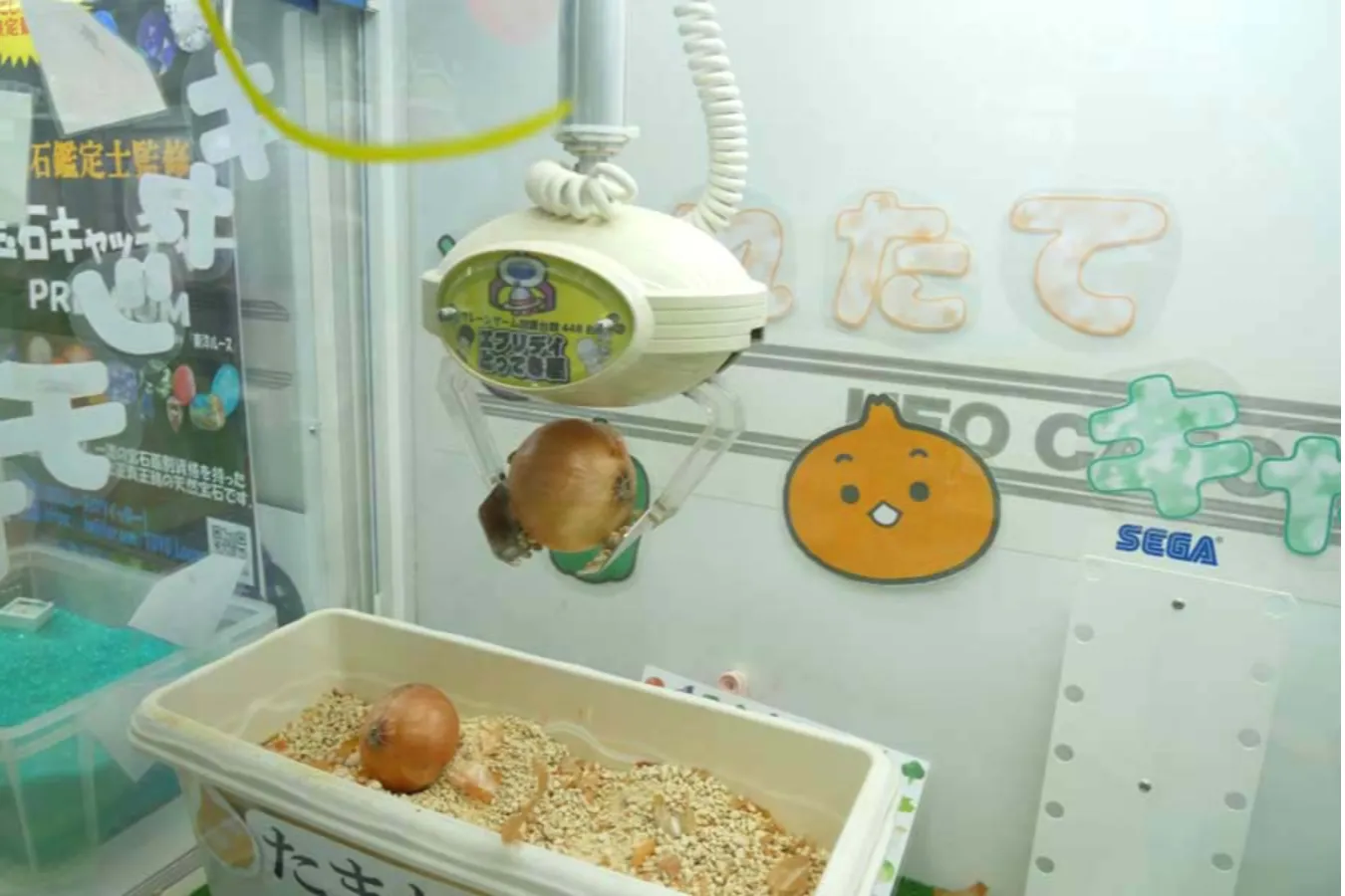 10円から遊べる！クレーンゲーム専門店「とってき屋」レポ_2922352