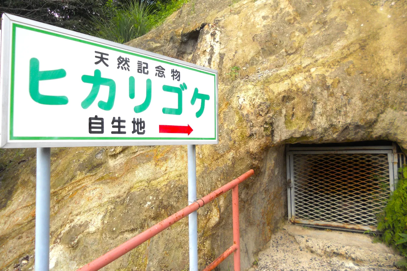 ▲看板があるので分かりやすいです