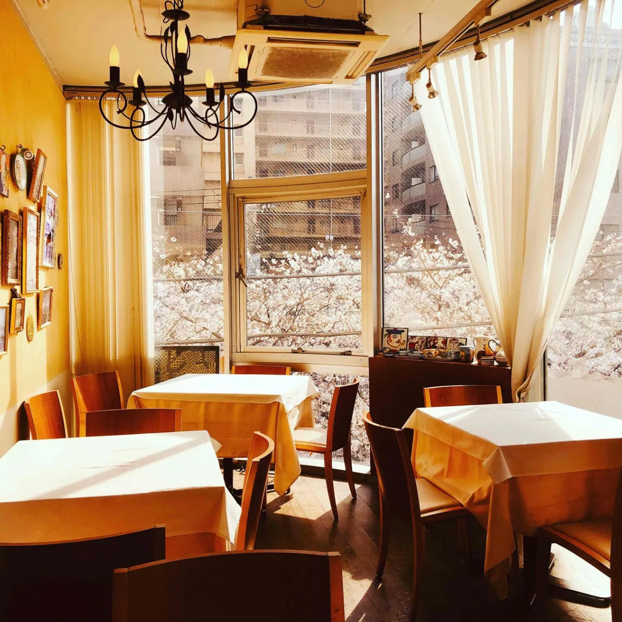 【中目黒】桜が見えるレストラン4選！お花見デートにも◎_3333139