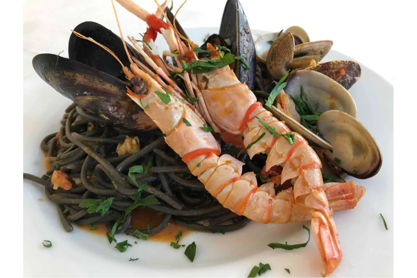 ▲料理イメージ