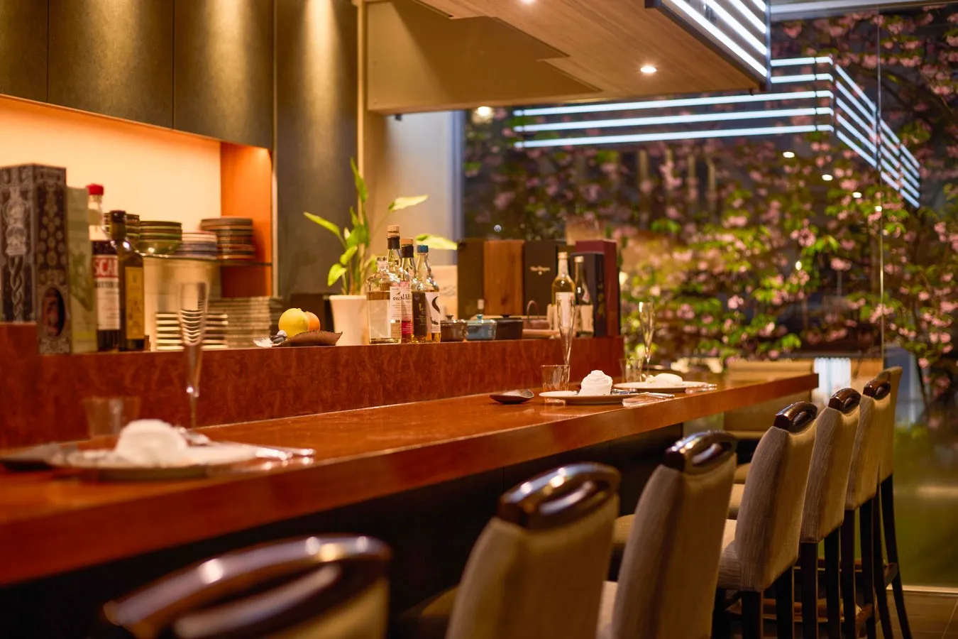 【中目黒】桜が見えるレストラン4選！お花見デートにも◎_3333141