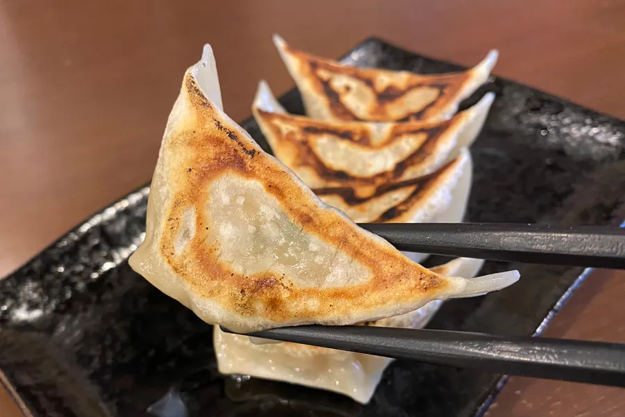 【神田】19種類の餃子が食べ放題！「ワラシベギョウザ」レポ