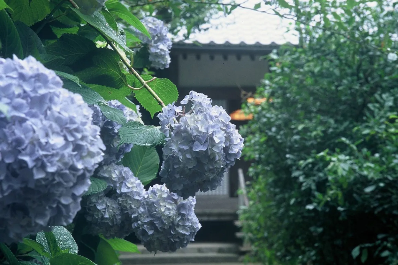 【神奈川】雨の日のおでかけに！大人におすすめのスポット16選_3623485