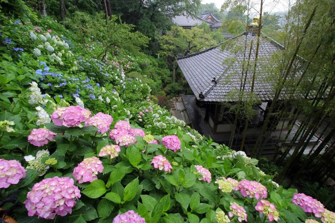 【神奈川】雨の日のおでかけに！大人におすすめのスポット16選_3623487